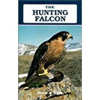 The Hunting Falcon
