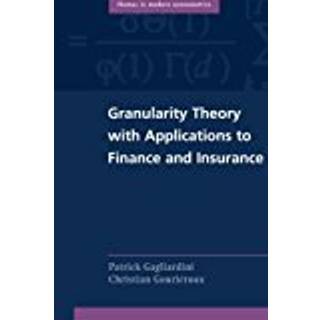 Granularity Theory with Applications to Finance and Insurance