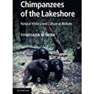 Chimpanzees of the Lakeshore
