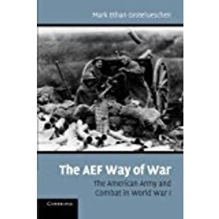 The AEF Way of War