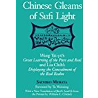 Chinese Gleams of Sufi Light