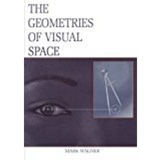 The Geometries of Visual Space