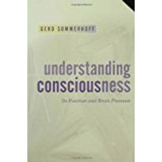 Understanding Consciousness
