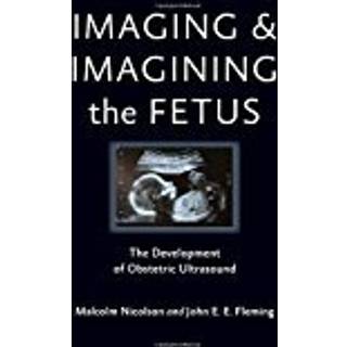 Imaging and Imagining the Fetus