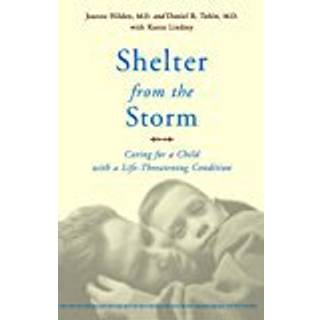 Shelter From The Storm