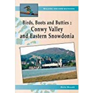 Birds, Boots and Butties: Conwy Valley/Eastern Snowdonia