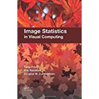 Image Statistics in Visual Computing, Edition 1 (Physical)