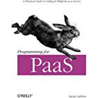 Programming for PaaS (4, 2013) | Lucas Carlson