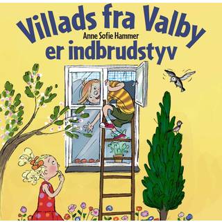 Villads fra Valby er indbrudstyv
