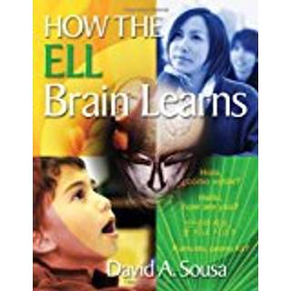 How the ELL Brain Learns