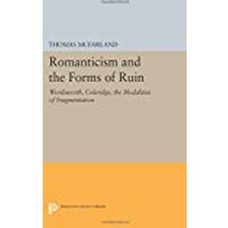 Romanticism and the Forms of Ruin