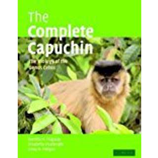 The Complete Capuchin