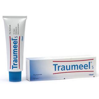 Heel Traumeel S salve - 50 g