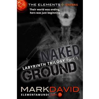 Labyrinth 1: Naked Ground
