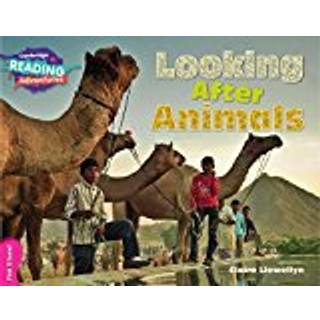 Cambridge Reading Adventures Looking After Animals Pink B Band