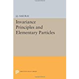 Invariance Principles and Elementary Particles