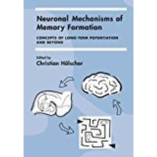 Neuronal Mechanisms of Memory Formation