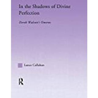 In the Shadows of Divine Perfection