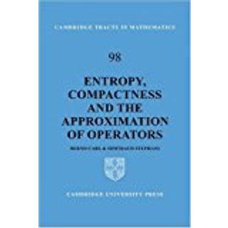 Entropy, Compactness and the Approximation of Operators