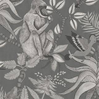 Savuti - Grey