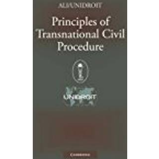 Principles of Transnational Civil Procedure