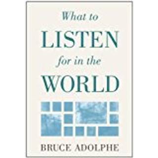 What to Listen for in the World
