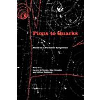 Pions to Quarks