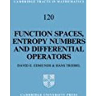 Function Spaces, Entropy Numbers, Differential Operators