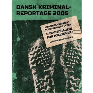 Databedrageri for millioner