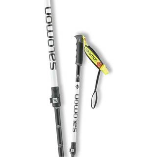 Salomon MTN ALU S3, skistave, lysegrå/grøn