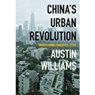 China’s Urban Revolution