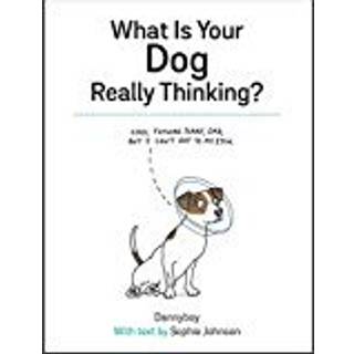 What Is Your Dog Really Thinking?