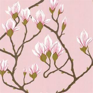 Cole & Son Wallpaper Magnolia 72/3009