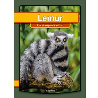 Lemur