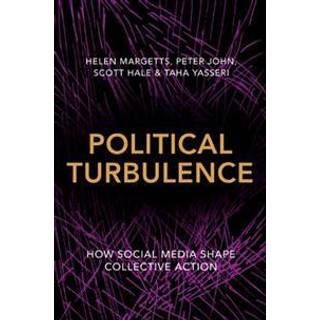 Political Turbulence