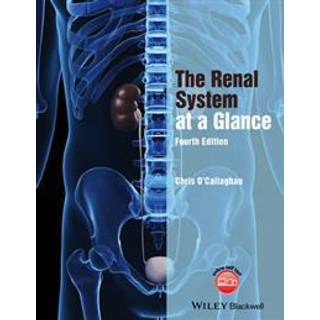 The Renal System at a Glance