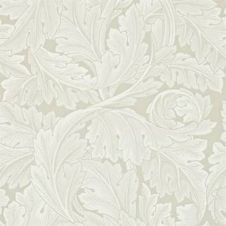 Acanthus Chalk - 212554