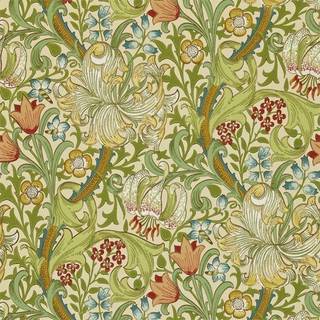 Golden Lily Pale Biscuit - 210431