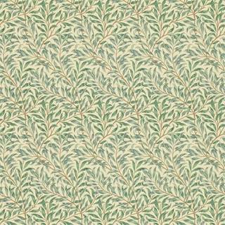 Willow Boughs Minor Privet - 210489