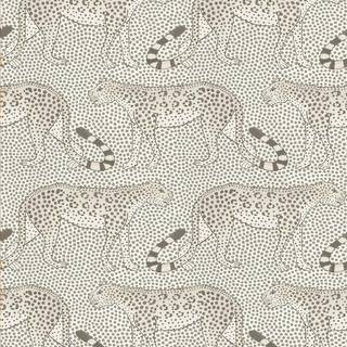 Leopard Walk - Grey