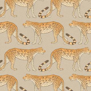 Leopard Walk - Orange