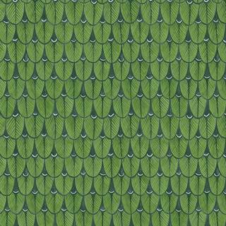 Narina - Green