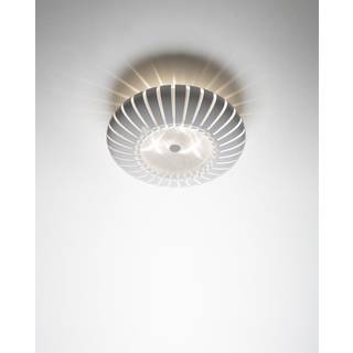 Lampefeber Maranga loftlampe Ø50 hvid