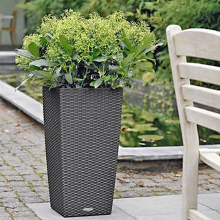 Lechuza Cubico Cottage udendørs krukke til blomster med selvvandingssystem Granit 40 x 40 x H75 cm