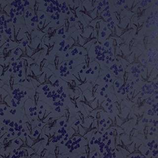 Rainbirds Black/Navy - WP2105