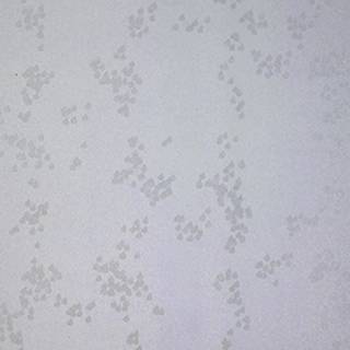 Rain Grey - WP2108