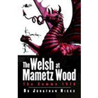 Welsh Of Mametz Wood The Somme 1916