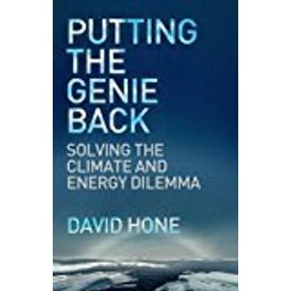 Putting the Genie Back