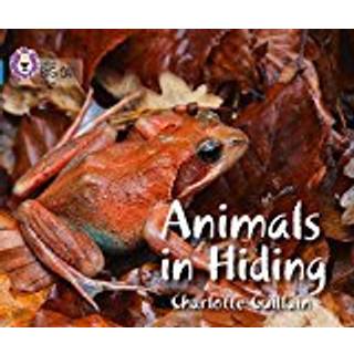 Animals in Hiding