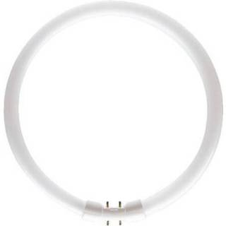 Philips MASTER TL5C Rundt 22W - 840 kold hvid | 22cm